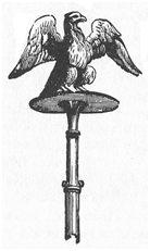 Roman Eagle
